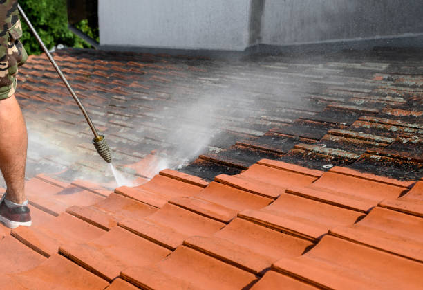 Best Residential Pressure Washing Services  in Waynesboro, TN