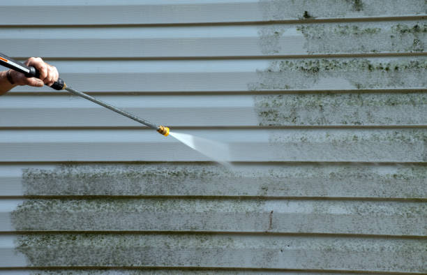 Roof Power Washing Services in Waynesboro, TN