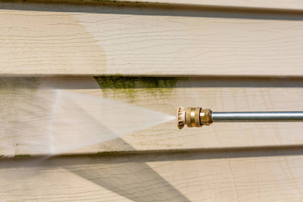 Best Exterior Home Cleaning  in Waynesboro, TN